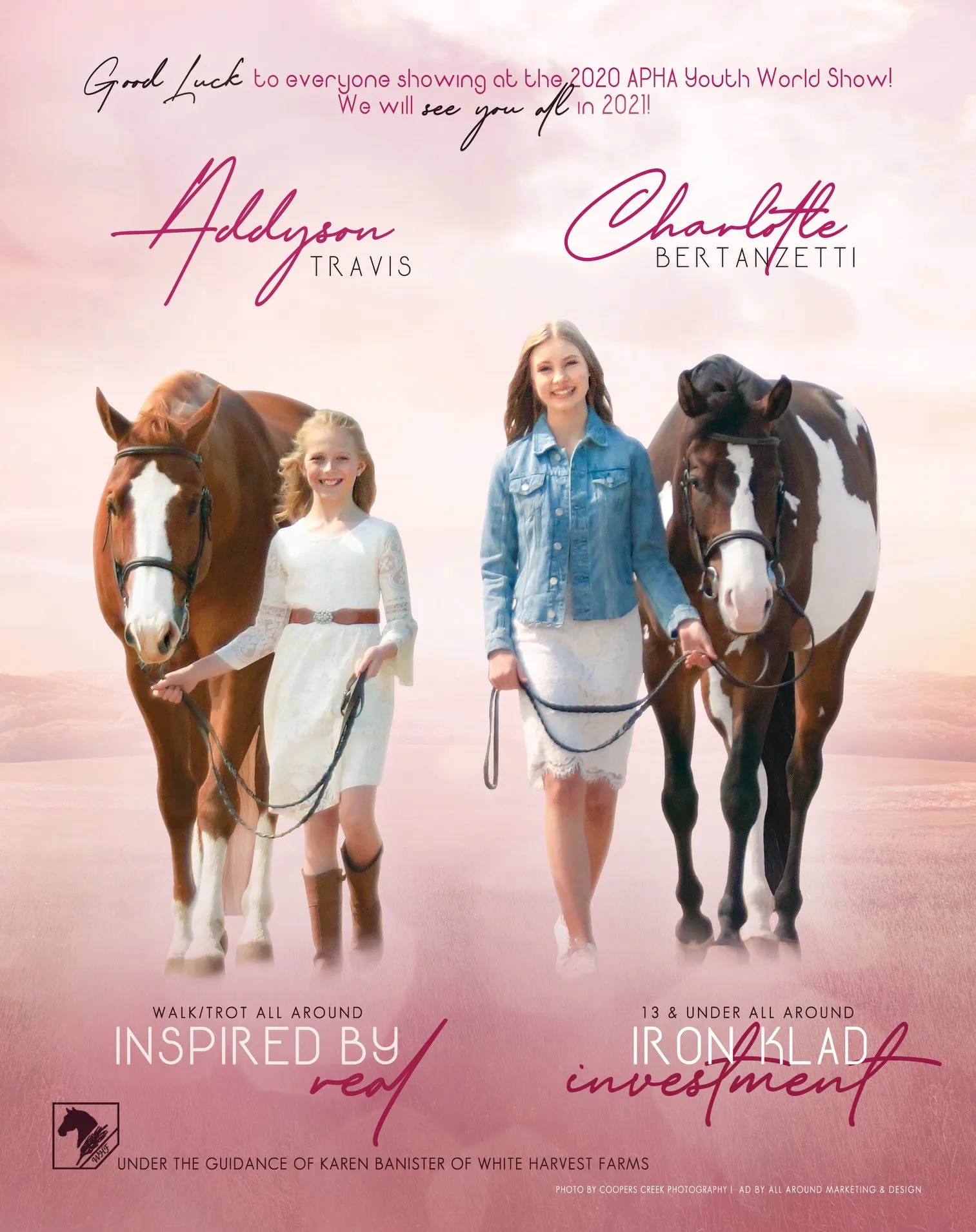 Paint Horse Ad Photo