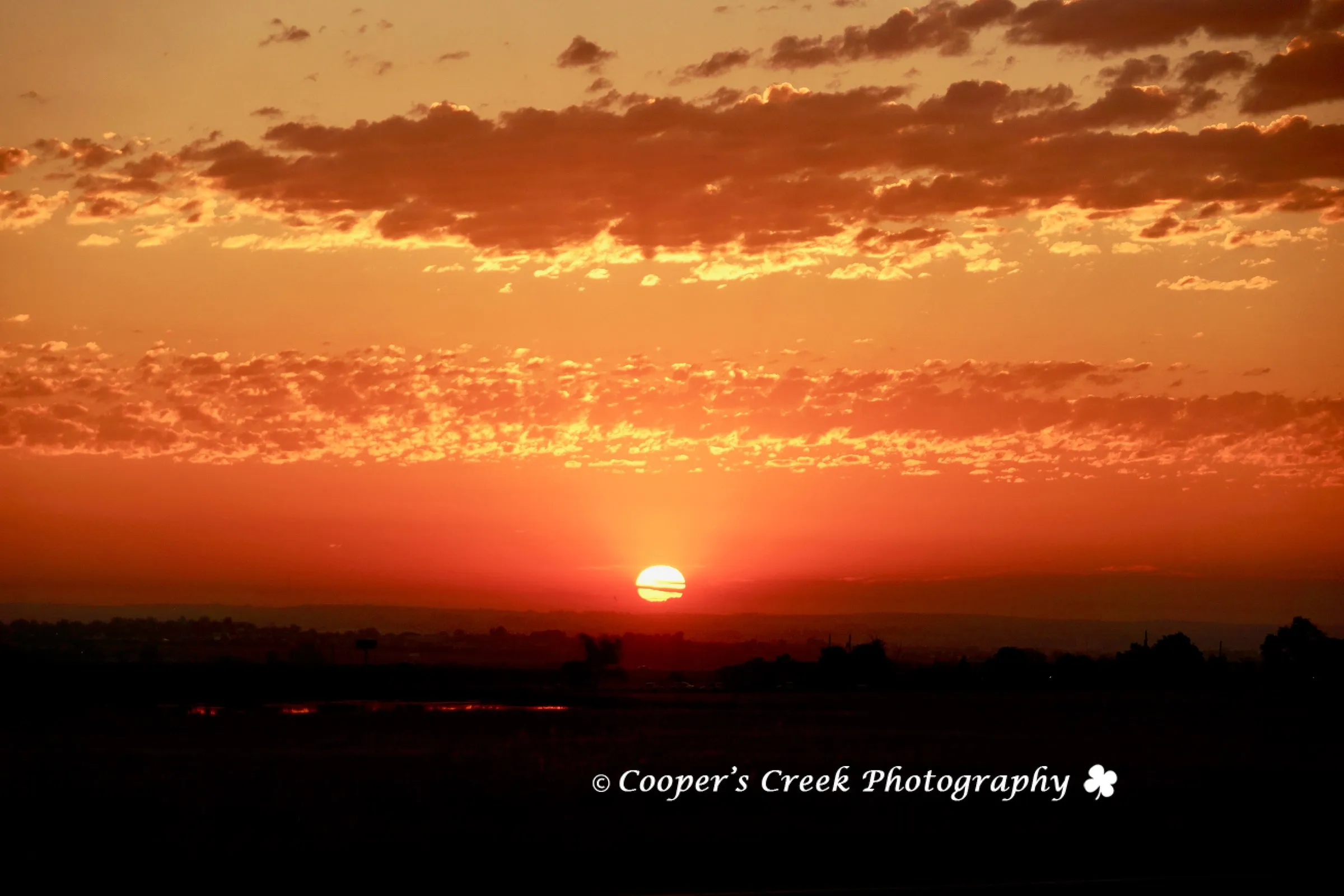 Sunrise July 41
